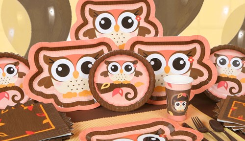 Owl Girl Baby Shower and Birthday Party Theme Decorations