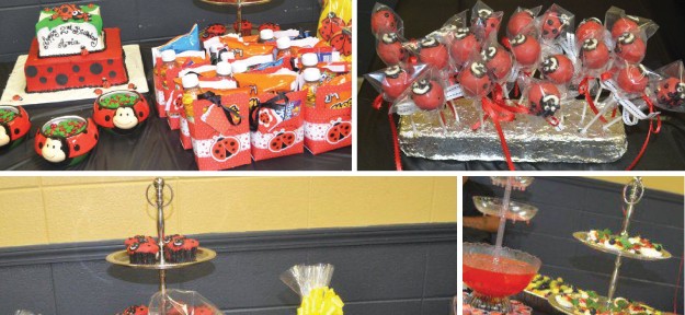 Modern Ladybug Party Supplies