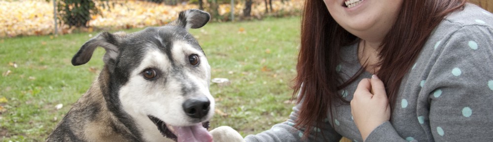 Jessy and Rocko - Tips for Adopting a Dog #PuppyShower #DogBirthdayParty #PoochPawty