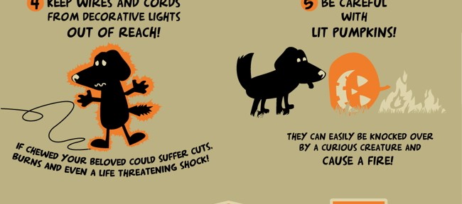 Halloween Safety Tips for Dogs #PoochPawty