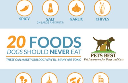 20 Dangerous Foods for Dogs